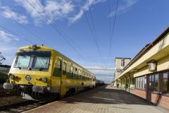 csorna_001_75130939