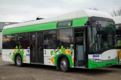 solaris-busz-8_99524375