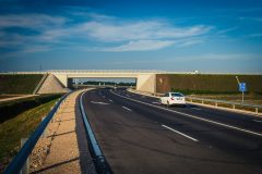 20180601_bga_4772