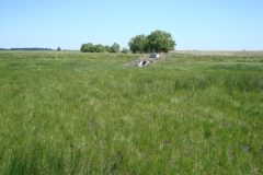 20-Ozes-mutargy-04954_46625791