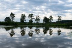 DSC_4522