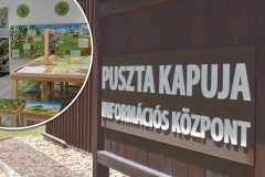 01_nyitokep