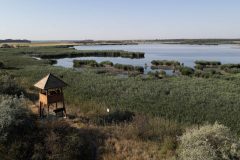 Dinnyesi-ferto-uj-madarmegfigyelo-torony_47967555