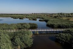 Dinnyesi-ferto-uj-pallosor_57855787