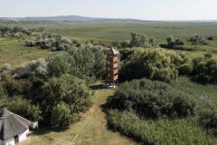 Uj-madarmegfigyelo-torony_86134597