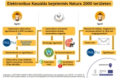 KOFOP-122-VEKOP-18-2019-00014_Kaszalas-bejelentes_folyamatabra_55161861_._