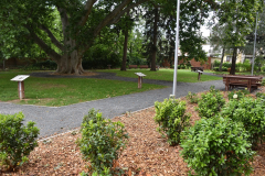 Platan-park-2