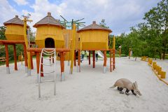 DA6_9010-V-kk_48973543