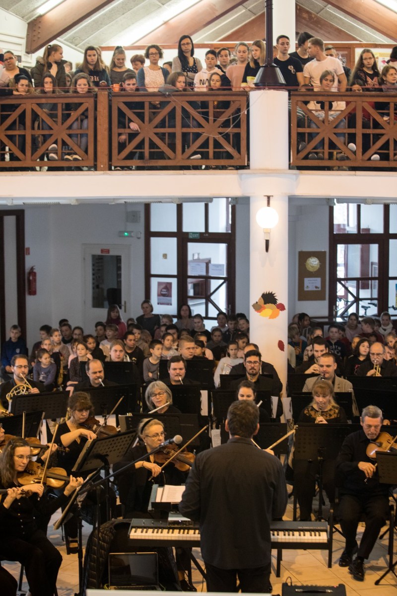 ifjusagi-2019-Pasztorvolgyi ifjusagi-2019-Pasztorvolgyi