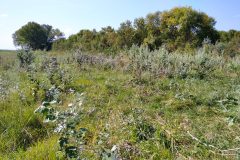 VEKOP-4.2.1-15-2016-00007Csatornak-rizskalitkak-tajsebek-tanyahelyek-felszamolasa