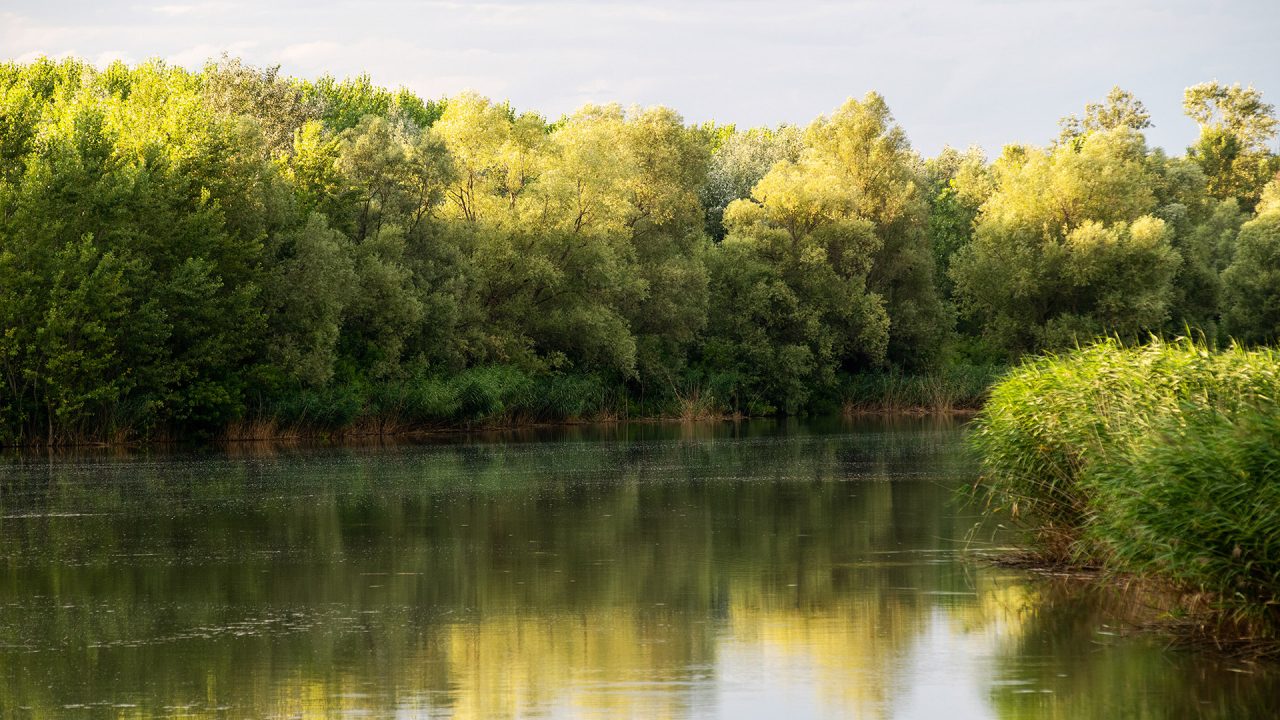 Csatornabővítéssel védték meg a Felső-Tisza-vidék élővilágát