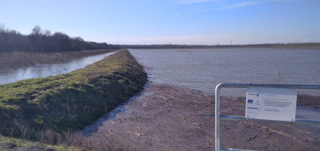 “Fish nursery” for habitat development and boosting fishing tourism