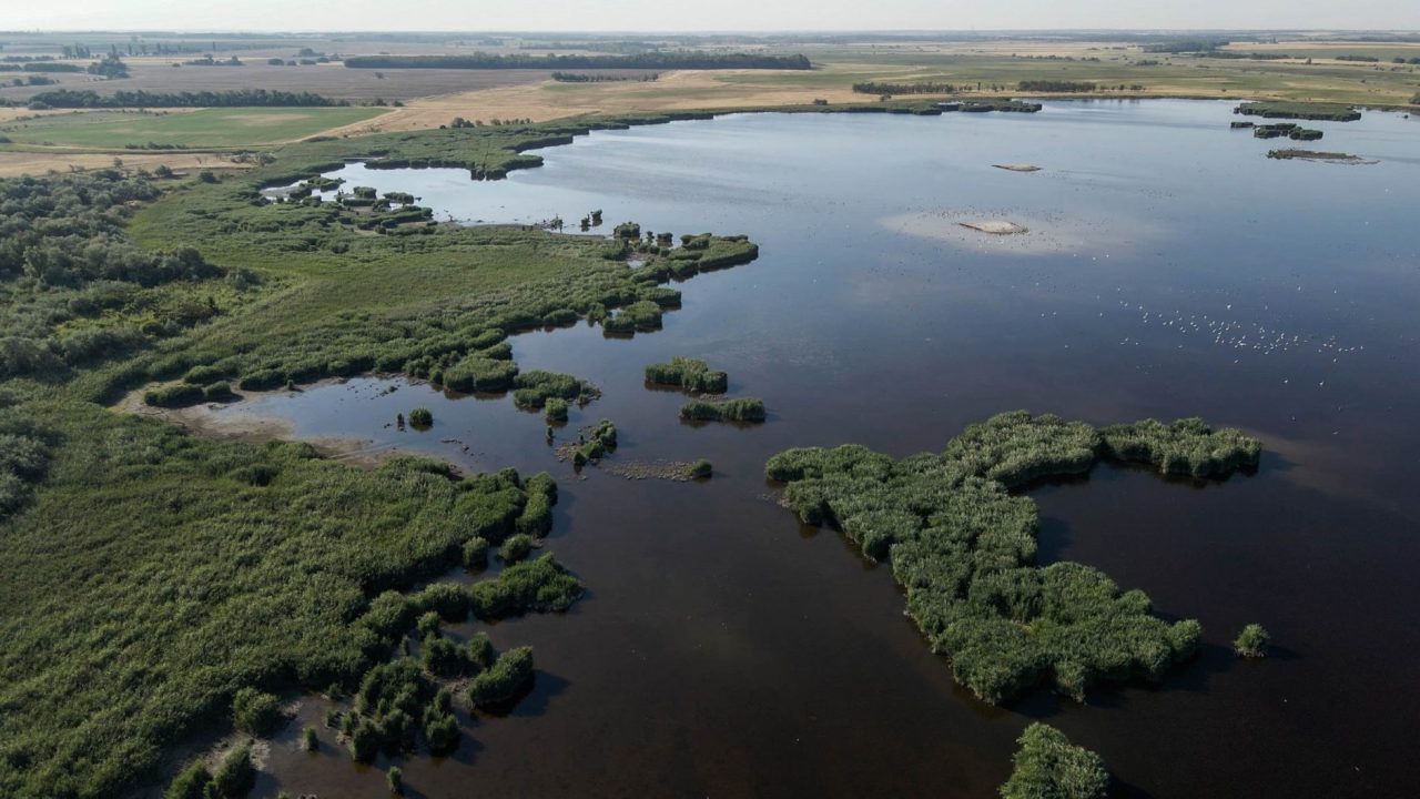 Mezőföld has become a paradise for water birds