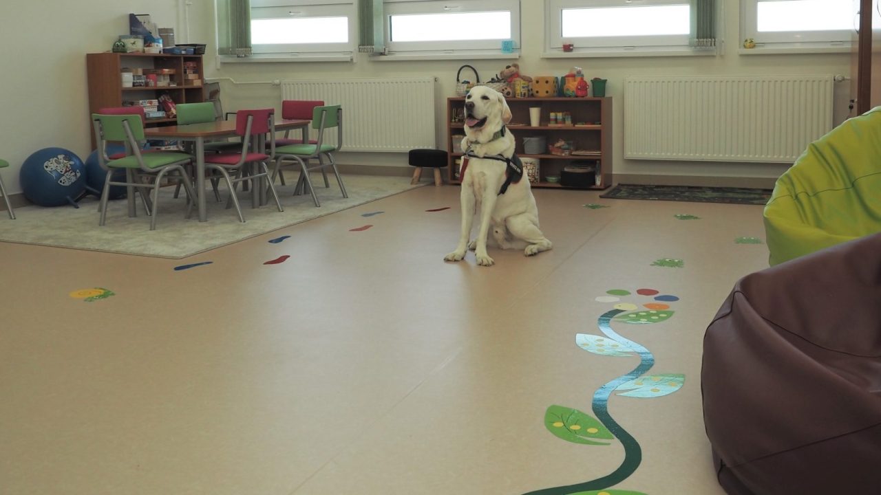 A gyermekek lelki egészségéért