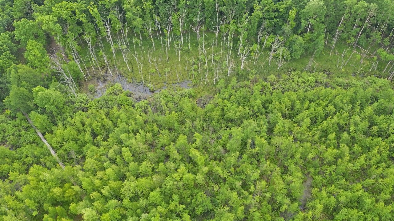 Vizes élőhelyek újraélesztve