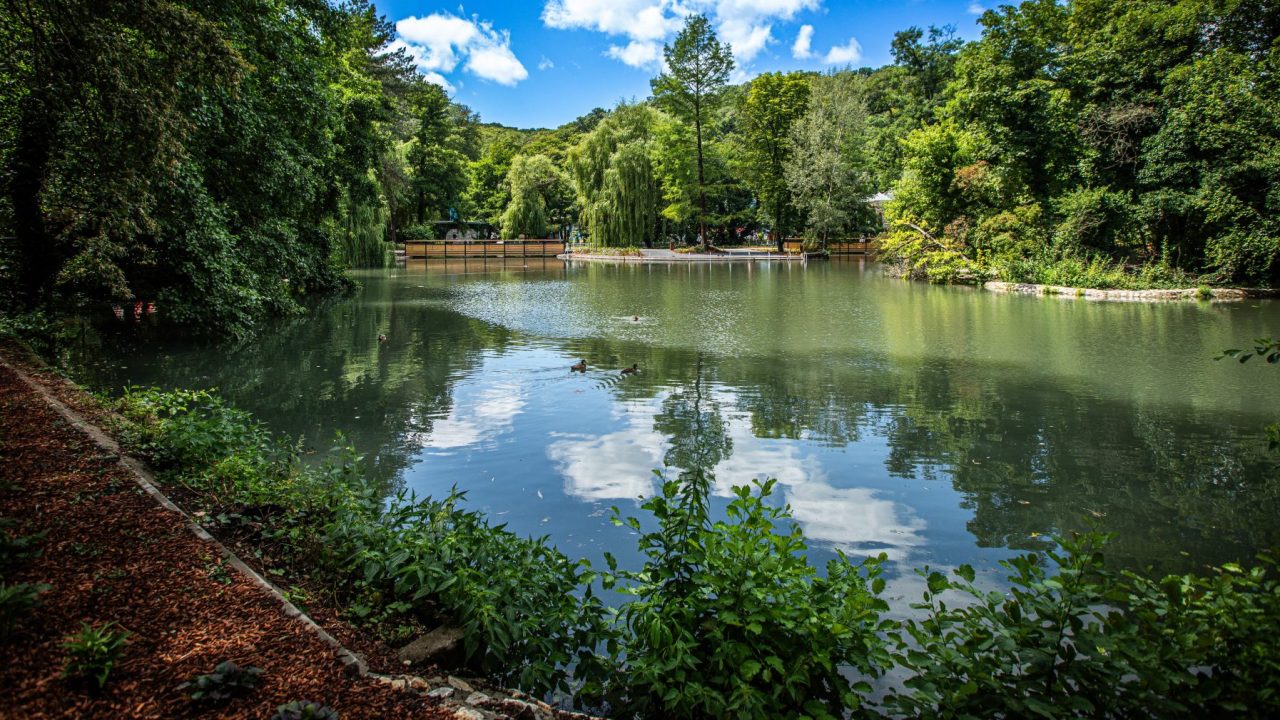 Miskolctapolca új arca