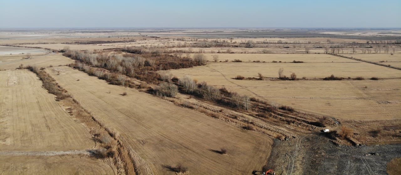 The rebirth of the alkaline steppe on the edge of Kiskunság