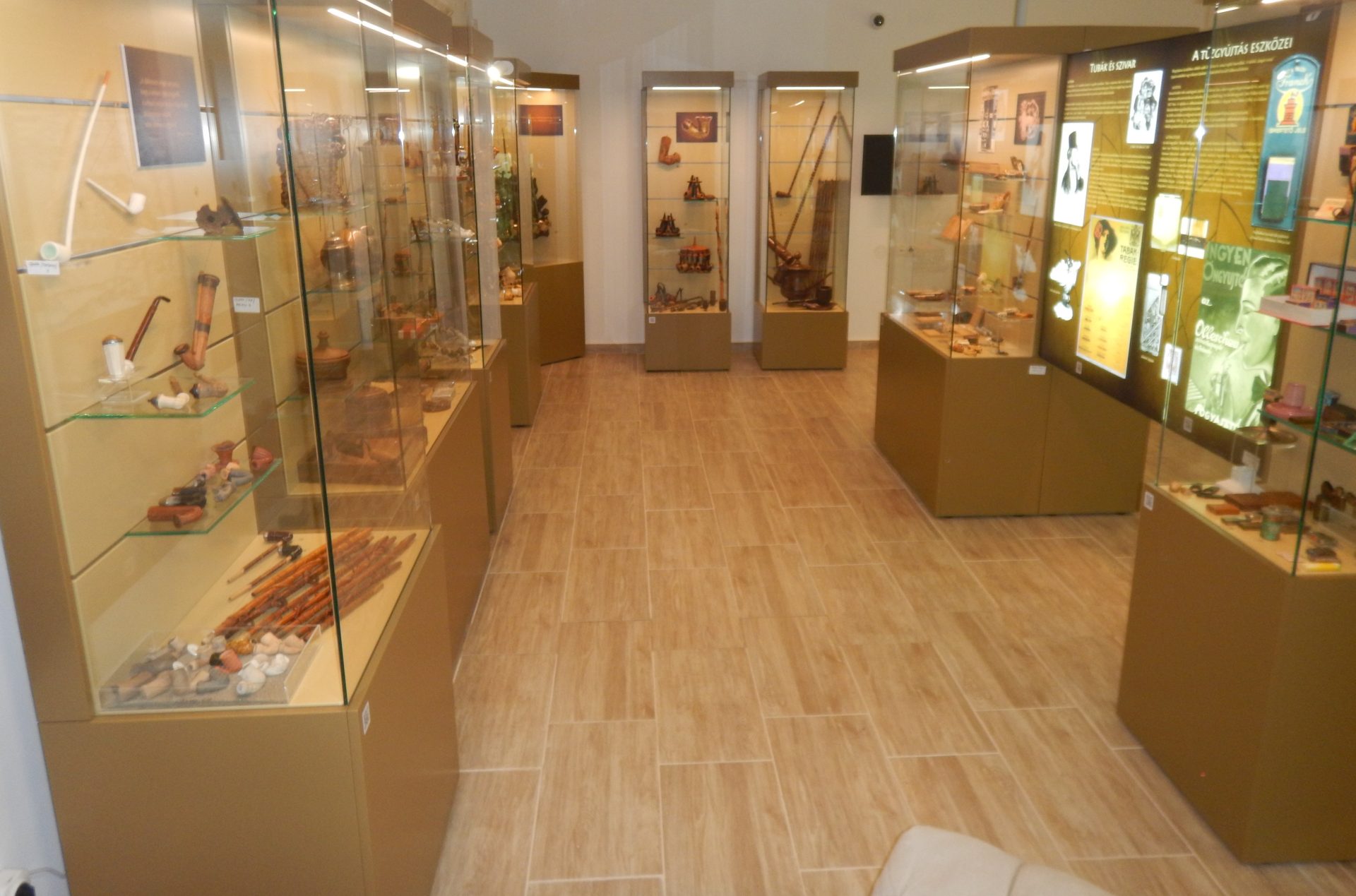 A Zselicben barangolva