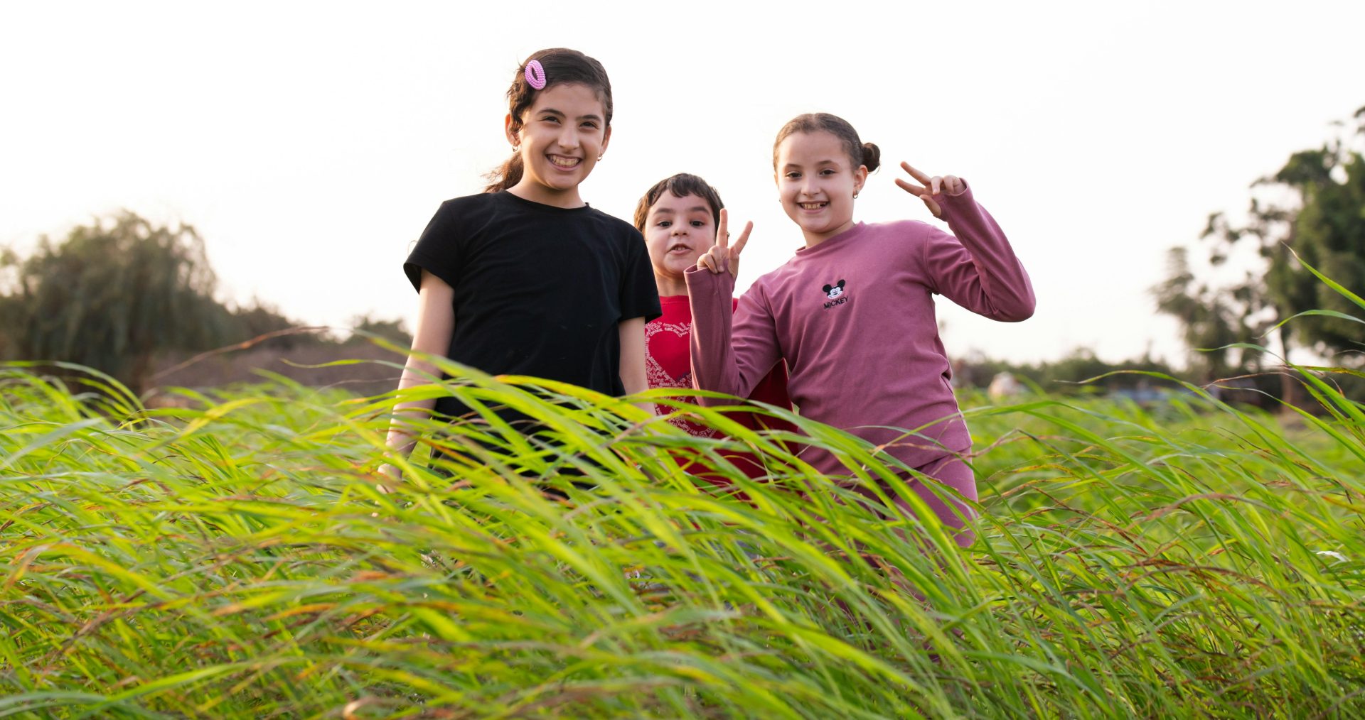 EFOP Plusz: folytonosság és esélyteremtés a hátrányok leküzdésében