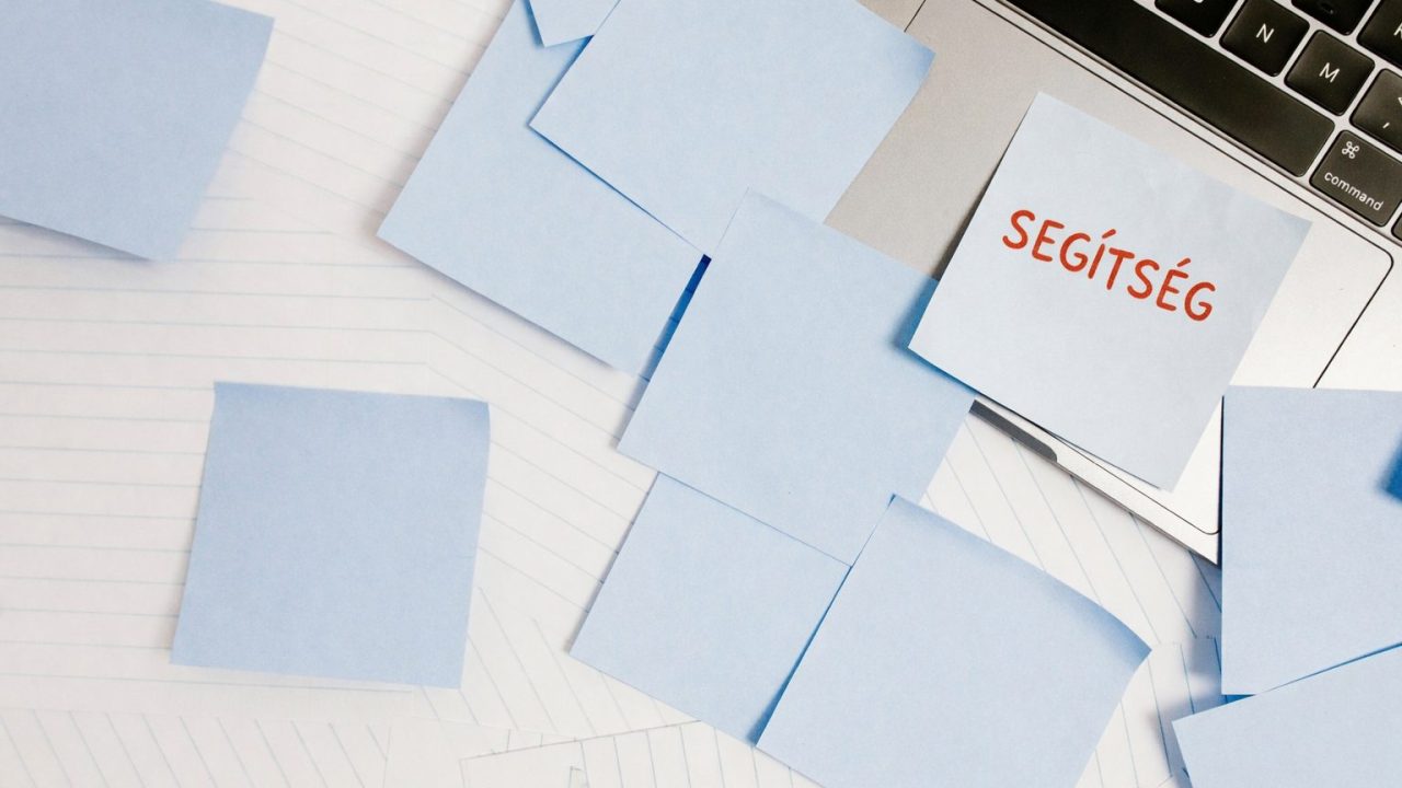 How the IOP Plus managing authority supports its beneficiaries