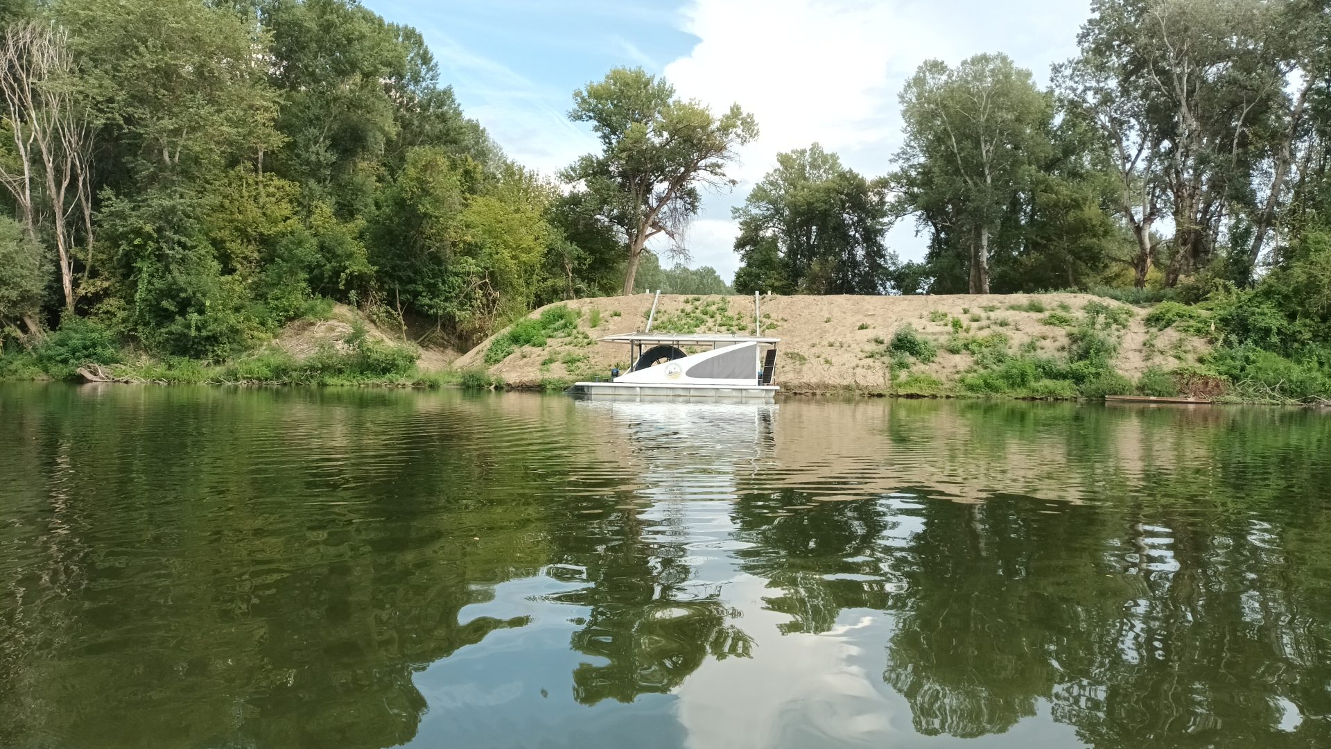 Szabályozott víz, élő ártér – sikeres természetvédelmi beavatkozás a Tisza mentén
