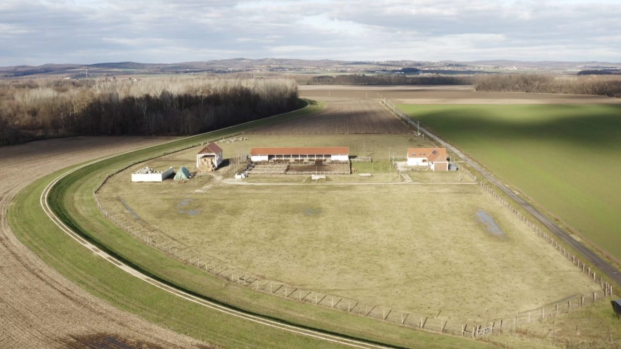 Back to the Roots on a Winding Path