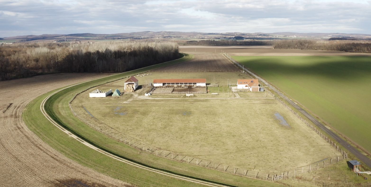 Kanyargós úton a gyökerekhez