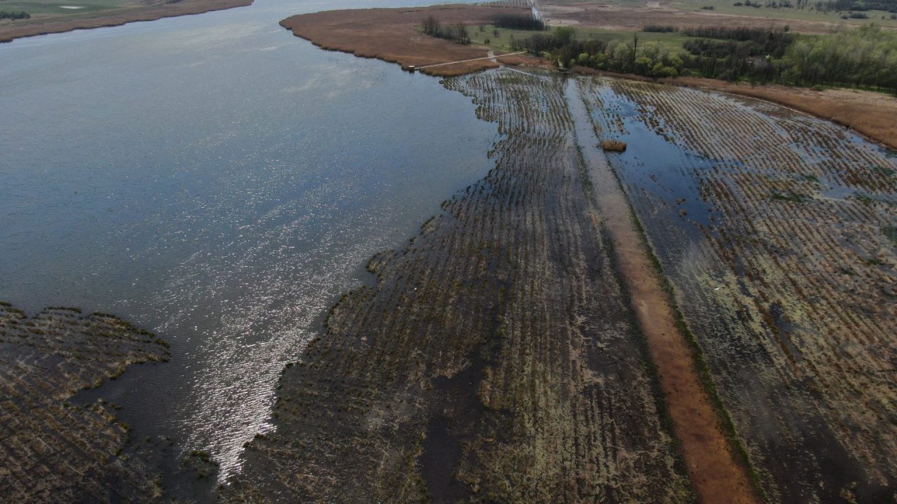 Újjászületett a Péteri-tó