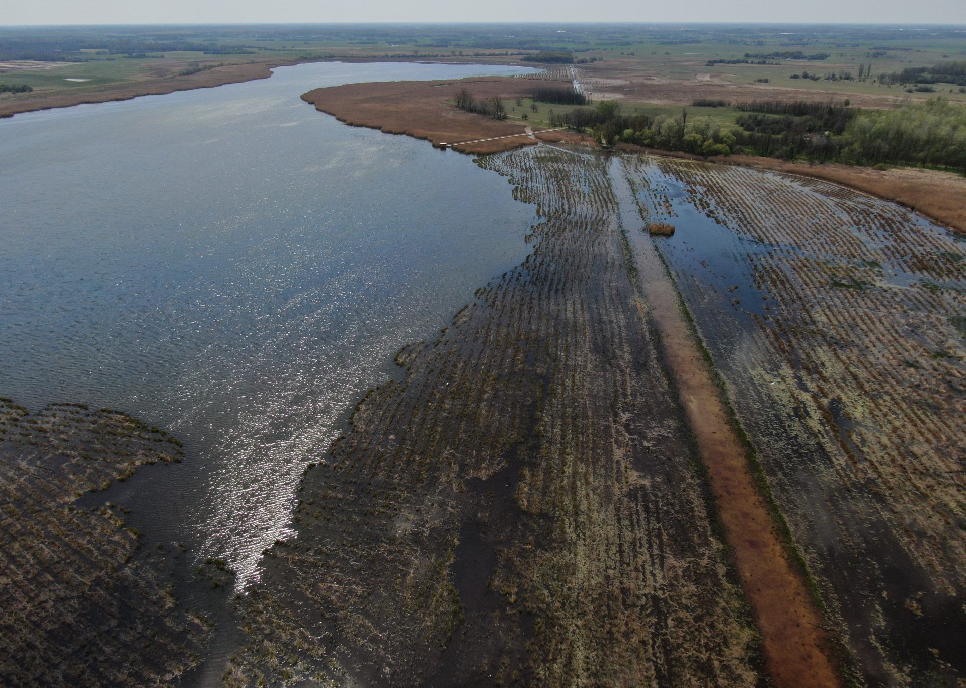 Újjászületett a Péteri-tó