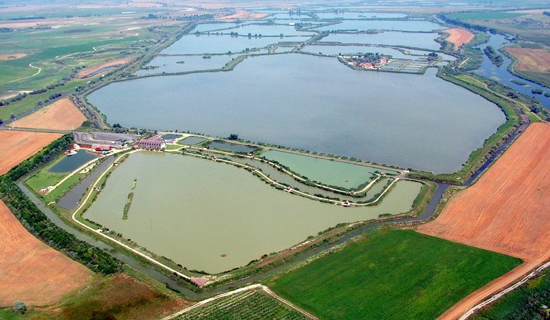 Jó gyakorlat a magyar akvakultúrában