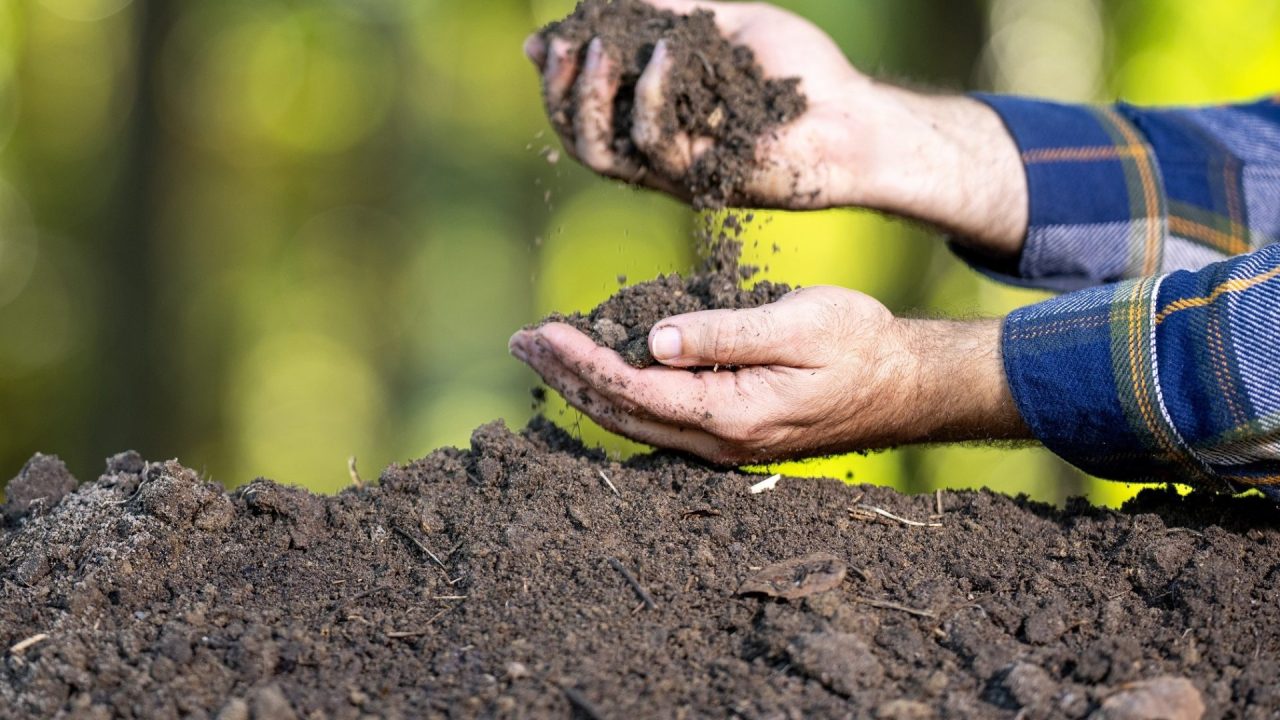 Is it really waste? – a new composting technology developed in Hungary