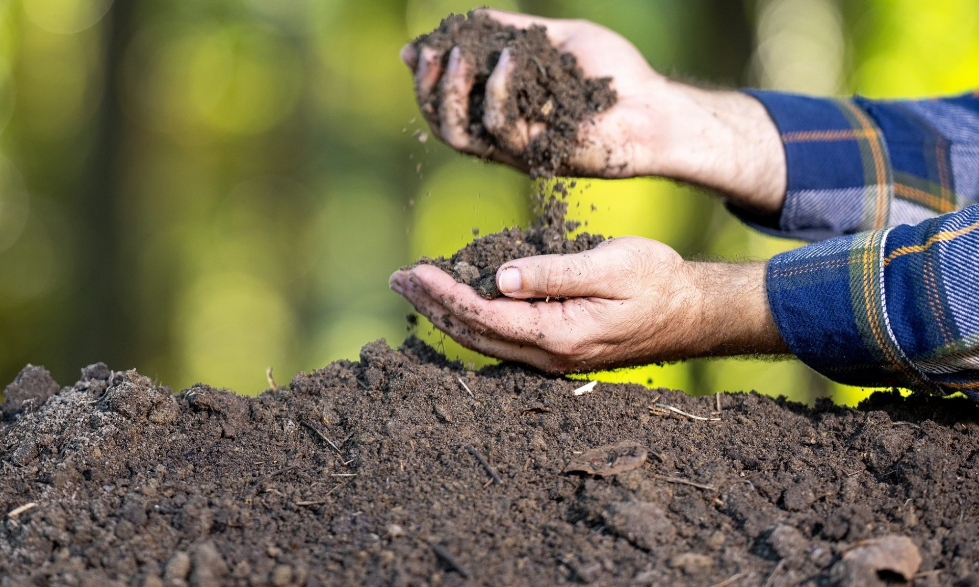 Tényleg szemét?! – új komposzttechnológia született egy magyar fejlesztésben