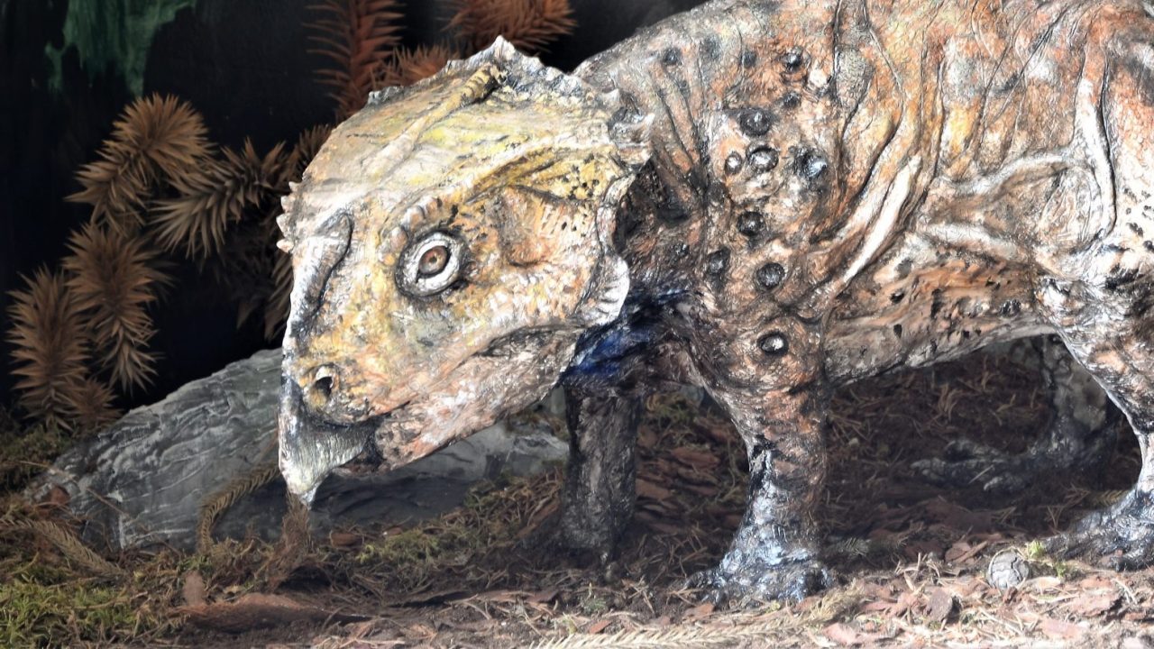 A future inspired by ancient worlds