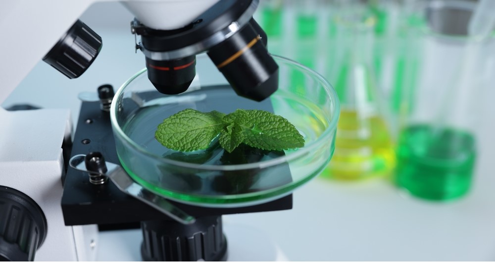 Testközelben a jövő szakmái