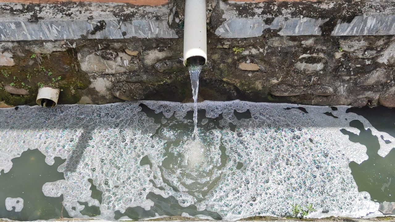 What happens after it goes down the drain