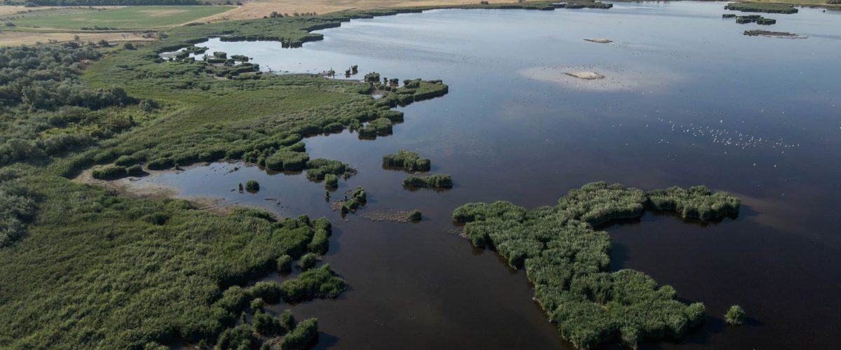 A dinnyési fertő, középen fent az új fészkelő szigetek_82748338