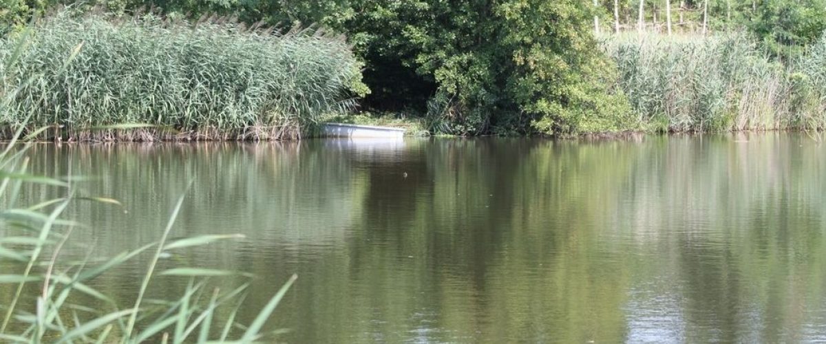 Tógazda honlap kép_1m