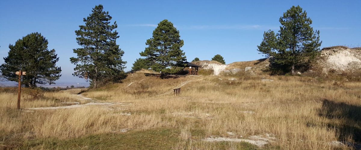 dunaalmasi-tanosveny-1