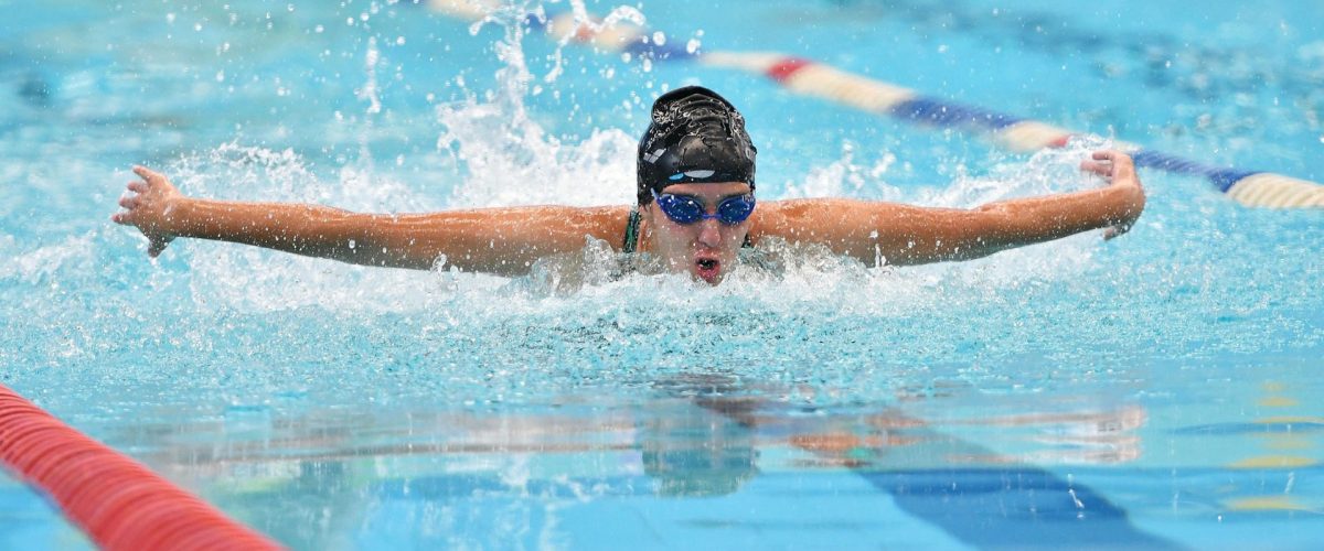 swimming-5315310_1920